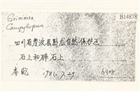 登錄號:B00014878藏品圖，第2張