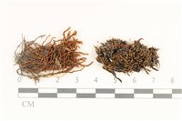 登錄號:B00014878藏品圖，第1張