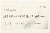 登錄號:B00014882藏品圖，第2張