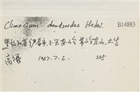 登錄號:B00014883藏品圖，第2張