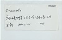 登錄號:B00014887藏品圖，第2張