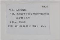 登錄號:B00015094藏品圖，第2張