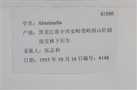 登錄號:B00015095藏品圖，第2張