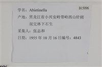 登錄號:B00015096藏品圖，第2張