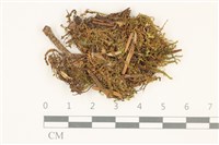 登錄號:B00015098藏品圖，第1張