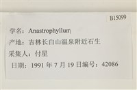 登錄號:B00015099藏品圖，第2張