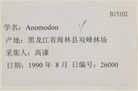 登錄號:B00015102藏品圖，第2張