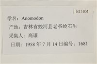 登錄號:B00015104藏品圖，第2張