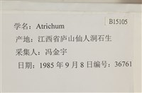 登錄號:B00015105藏品圖，第2張