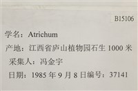 登錄號:B00015106藏品圖，第2張