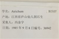 登錄號:B00015107藏品圖，第2張