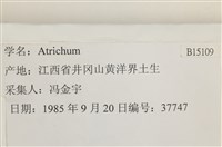 登錄號:B00015109藏品圖，第2張