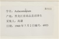 登錄號:B00015111藏品圖，第2張