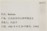 登錄號:B00015112藏品圖，第2張