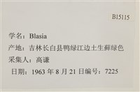 登錄號:B00015115藏品圖，第2張