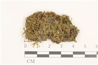 登錄號:B00015115藏品圖，第1張