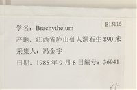 登錄號:B00015116藏品圖，第2張