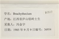 登錄號:B00015117藏品圖，第2張