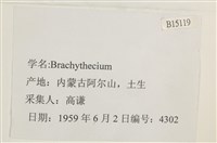 登錄號:B00015119藏品圖，第2張