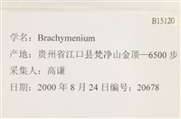 登錄號:B00015120藏品圖，第2張