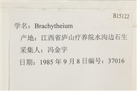 登錄號:B00015122藏品圖，第2張