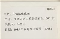 登錄號:B00015124藏品圖，第2張