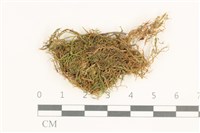 登錄號:B00015124藏品圖，第1張