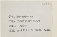 登錄號:B00015125藏品圖，第2張