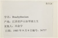 登錄號:B00015126藏品圖，第2張