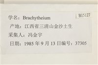 登錄號:B00015127藏品圖，第2張