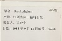 登錄號:B00015128藏品圖，第2張