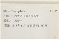 登錄號:B00015129藏品圖，第2張