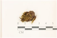 登錄號:B00015130藏品圖，第1張