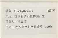 登錄號:B00015133藏品圖，第2張