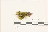 登錄號:B00015133藏品圖，第1張