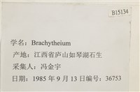 登錄號:B00015134藏品圖，第2張