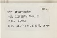 登錄號:B00015136藏品圖，第2張