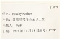 登錄號:B00015139藏品圖，第2張