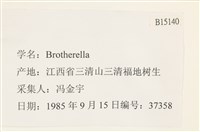 登錄號:B00015140藏品圖，第2張