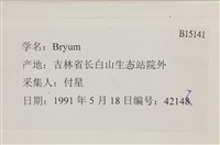 登錄號:B00015141藏品圖，第2張