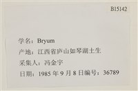 登錄號:B00015142藏品圖，第2張