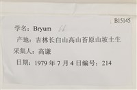 登錄號:B00015145藏品圖，第2張