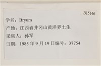 登錄號:B00015146藏品圖，第2張