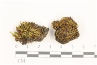 登錄號:B00015146藏品圖，第1張