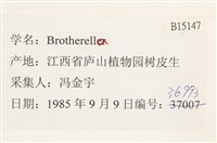 登錄號:B00015147藏品圖，第2張