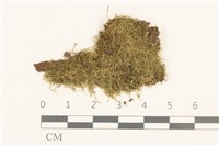 登錄號:B00015147藏品圖，第1張