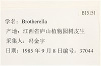 登錄號:B00015151藏品圖，第2張