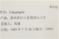 登錄號:B00015152藏品圖，第2張