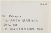 登錄號:B00015153藏品圖，第2張