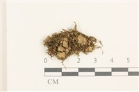 登錄號:B00015153藏品圖，第1張